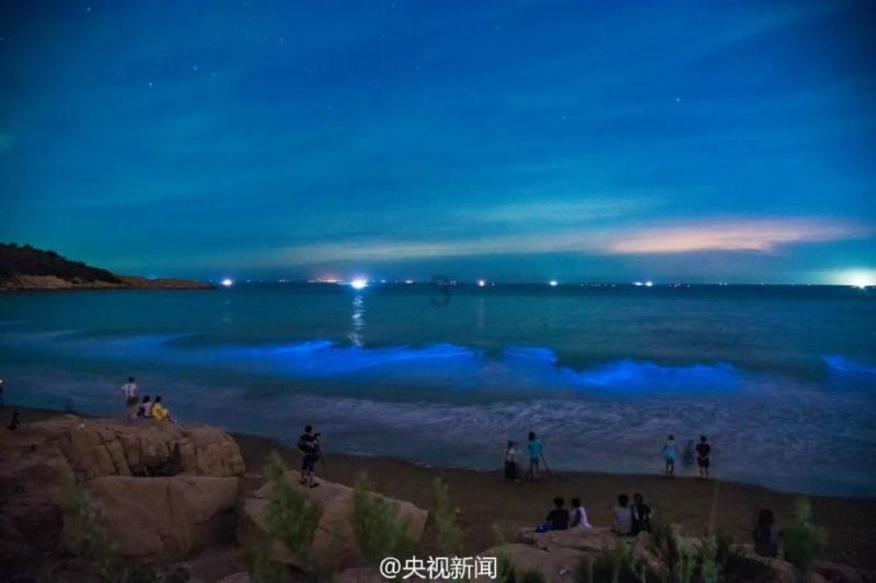 妙鸭相机app下载官网